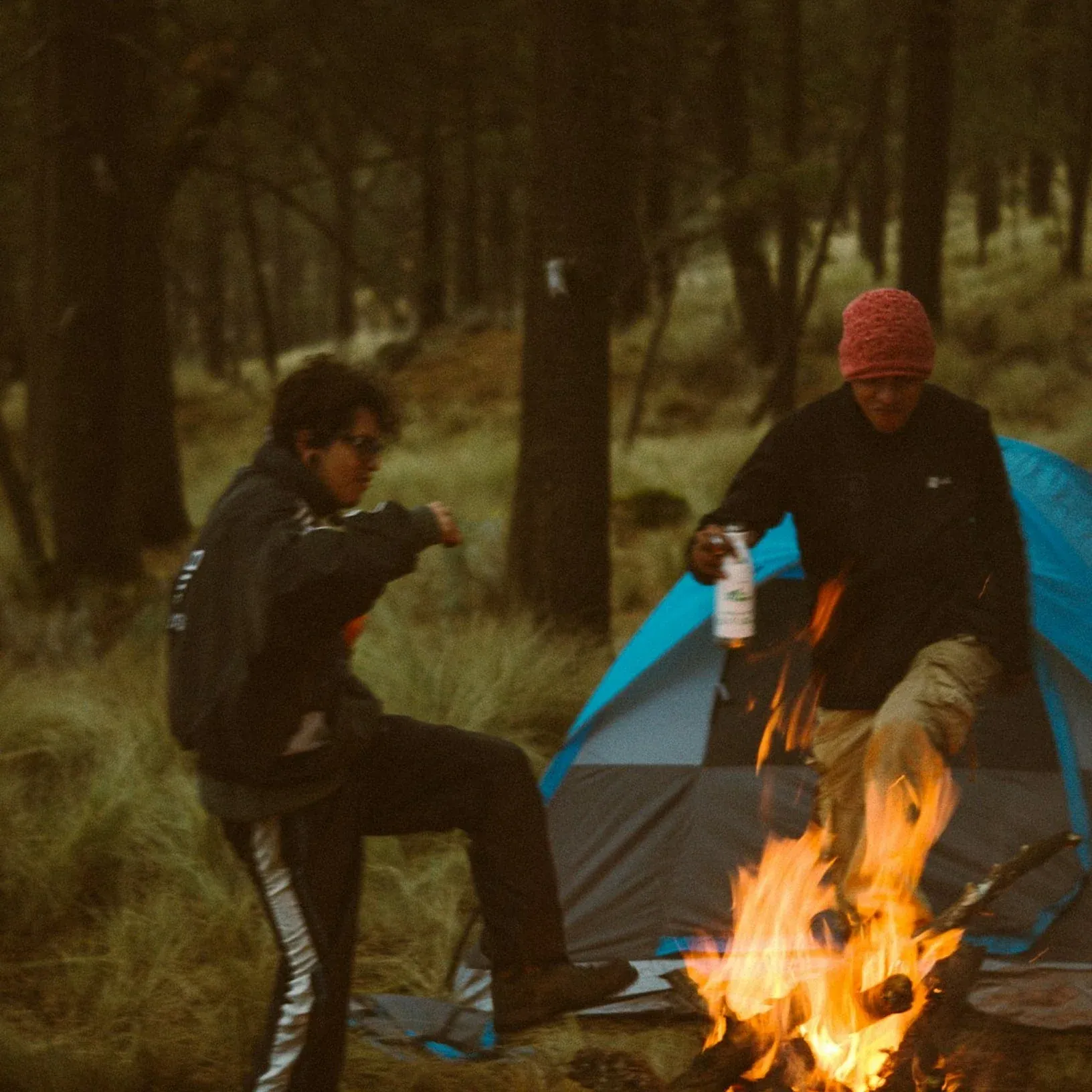 Friends camping in the woods around a fire